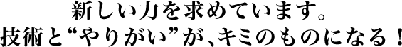 新しい力を求めています。技術と“やりがい”が、キミのものになる！